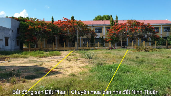 394m2 đất nền đường Trần Thi đối diện nhà thờ Tấn Tài
