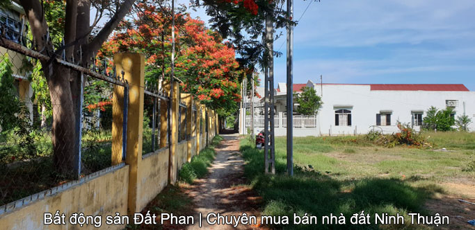 394m2 đất nền đường Trần Thi đối diện nhà thờ Tấn Tài