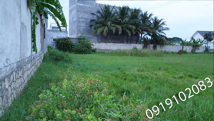 Bán 1500m2 đất ruộng mặt tiền đường 7m nằm ngay ngã tư