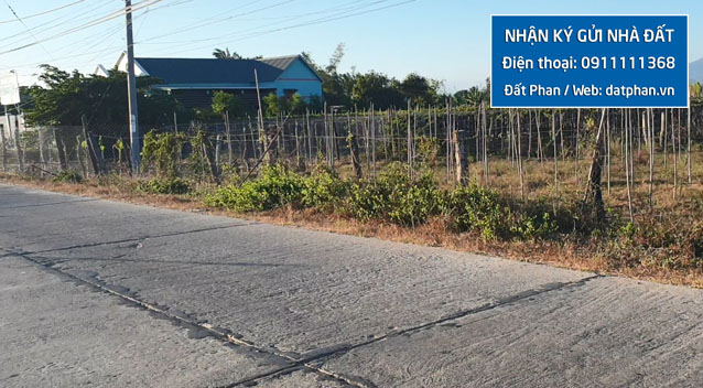 mảnh đất nông nghiệp mặt tiền đường Thuận Hòa Phước Khánh bất động sản ninh thuận
