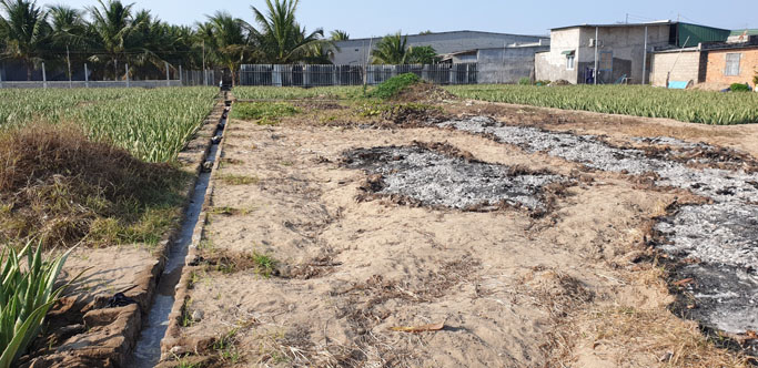 300m2 đất nông nghiệp phường Văn Hải bất động sản Phan Rang Ninh Thuận