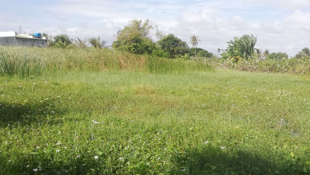2 SÀO ĐẤT RUỘNG GIÁ ĐẦU TƯ HỢP LÝ Hò Rò, phường Văn Hải, TP Phan Rang bất động sản ninh thuận