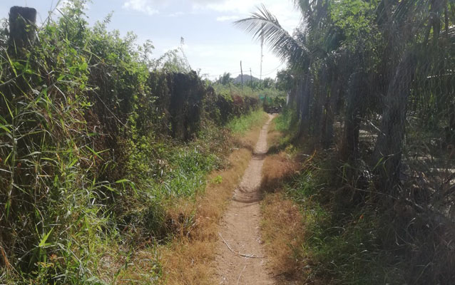 2 SÀO ĐẤT RUỘNG GIÁ ĐẦU TƯ HỢP LÝ Hò Rò, phường Văn Hải, TP Phan Rang bất động sản ninh thuận