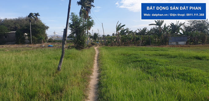 đất nông nghiệp phường tấn tài phan rang ninh thuận 1952m2