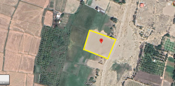 3800m2 đất trồng măng tây tại thôn Tuấn Tú