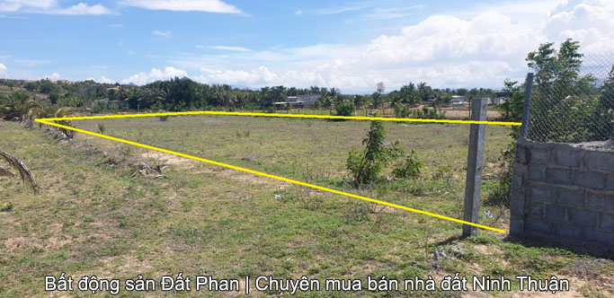 3,4 sào đất cát gần Nam Cương thích hợp làm măng tây hay trang trại