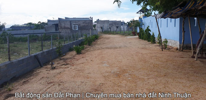 3,4 sào đất cát gần Nam Cương thích hợp làm măng tây hay trang trại