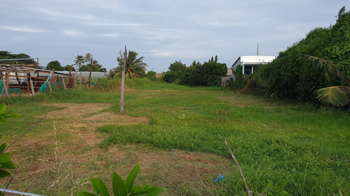 1000m2 đất sau lưng bệnh viện tỉnh Ninh Thuận