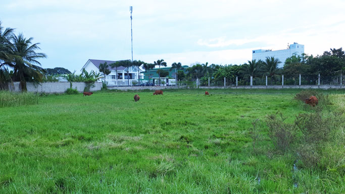 đất nông nghiệp ninh thuận