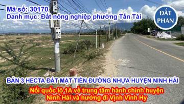 BÁN 30.000M2 (3 HECTA) ĐẤT MẶT TIỀN ĐƯỜNG NHỰA NỐI QUỐC LỘ 1A ĐI TRUNG TÂM HUYỆN NINH HẢI - VĨNH HY