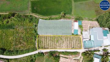 594m2 đất cho chuyển thổ cư hẻm đường bê tông cách trung tâm Phan Rang 5km