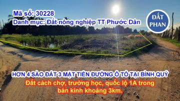 HƠN 4 SÀO ĐẤT 3 MẶT TIỀN ĐƯỜNG Ô TÔ TẠI BÌNH QUÝ NINH PHƯỚC