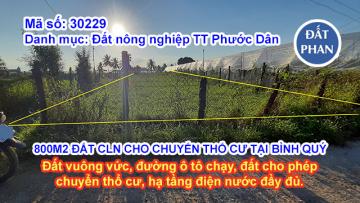 800M2 ĐẤT CÂY LÂU NĂM CHO CHUYỂN THỔ CƯ TẠI BÌNH QUÝ NINH PHƯỚC