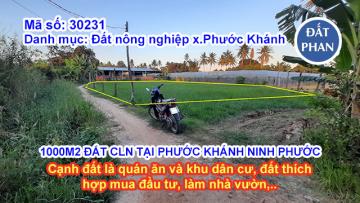1000M2 ĐẤT CÂY LÂU NĂM TẠI PHƯỚC KHÁNH NINH PHƯỚC