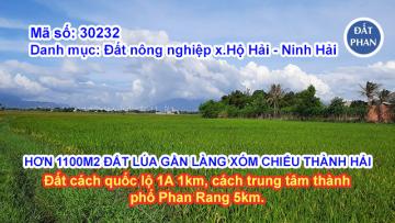 HƠN 1100M2 ĐẤT LÚA GẦN LÀNG XÓM CHIẾU THÀNH HẢI