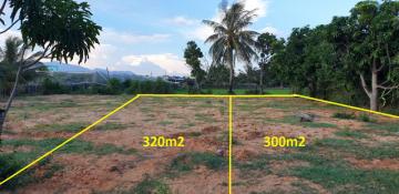 2 lô đất nông nghiệp 300m2 và 320m2 đường Nguyễn Trác