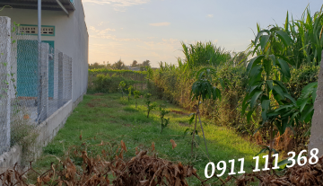 Đất nông nghiệp diện tích 924m2
