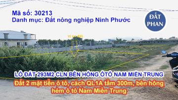 LÔ ĐẤT 293M2 CÂY LÂU NĂM HẺM BÊN HÔNG ÔTÔ NAM MIỀN TRUNG