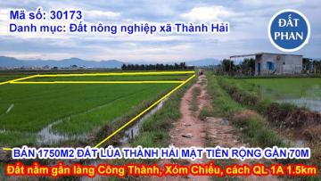 BÁN 1750M2 ĐẤT LÚA THÀNH HẢI ĐƯỜNG Ô TÔ MẶT TIỀN RỘNG GẦN 70M