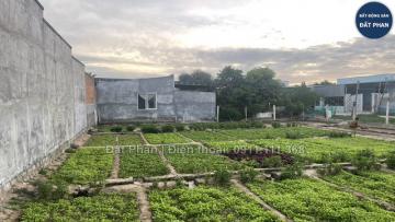 100m2 đất hẻm Trường Chinh giá đầu tư