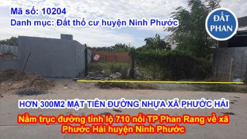 HƠN 300M2 MẶT TIỀN ĐƯỜNG NHỰA GẦN UBND XÃ PHƯỚC HẢI NINH PHƯỚC