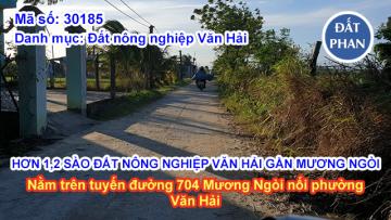 HƠN 1,2 SÀO ĐẤT NÔNG NGHIỆP VĂN HẢI GẦN MƯƠNG NGÒI