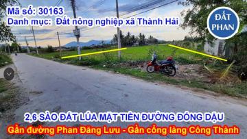 BÁN 2,6 SÀO ĐẤT LÚA MẶT TIỀN ĐƯỜNG ĐỔNG DẬU - GẦN ĐƯỜNG PHAN ĐĂNG LƯU