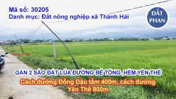 GẦN 2 SÀO ĐẤT LÚA MẶT TIỀN ĐƯỜNG BÊ TÔNG - HẺM ĐƯỜNG YÊN THẾ
