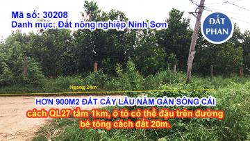 HƠN 900M2 ĐẤT TRỒNG CÂY LÂU NĂM GẦN SÔNG CÁI