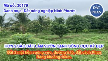 HƠN 2 SÀO ĐẤT LÀM VƯỜN CẠNH SÔNG CỰC KỲ ĐẸP