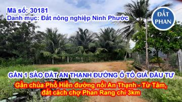 GẦN 1 SÀO ĐẤT AN THẠNH ĐƯỜNG Ô TÔ GIÁ ĐẦU TƯ