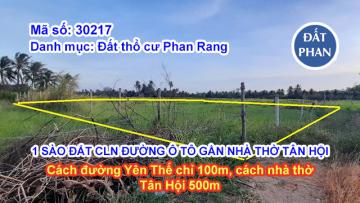 1 SÀO ĐẤT CÂY LÂU NĂM ĐƯỜNG Ô TÔ GẦN NHÀ THỜ TÂN HỘI THÀNH HẢI
