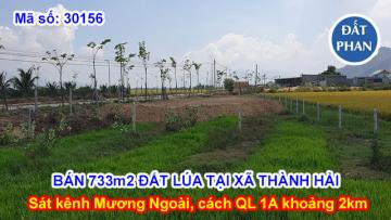 733m2 ĐẤT LÚA TẠI XÃ THÀNH HẢI, SÁT KÊNH MƯƠNG NGOÀI