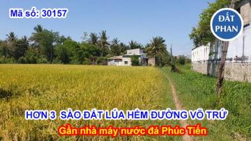 HƠN 3 SÀO ĐẤT LÚA GẦN NHÀ MÁY NƯỚC ĐÁ PHÚC TIẾN - MỸ BÌNH