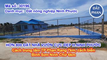 HƠN 800 ĐẤT LÀM NHÀ VƯỜN CỰC ĐẸP TẠI XÃ AN HẢI NINH PHƯỚC