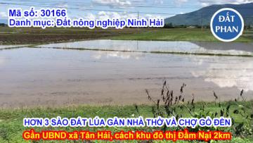 BÁN HƠN 3 SÀO ĐẤT LÚA  MẶT TIỀN ĐƯỜNG QUỐC LỘ 1A NGANG 55M TẠI GÒ ĐỀN