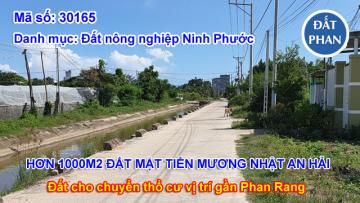 HƠN 1000M2 MẶT TIỀN MƯƠNG NHẬT AN HẢI GIÁ ĐẦU TƯ