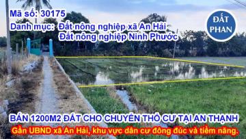 BÁN 1200M2 ĐẤT CHO CHUYỂN THỔ CƯ TẠI AN THẠNH GẦN UBND XÃ AN HẢI