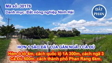 HƠN 1 SÀO ĐẤT LÚA THÍCH HỢP LÀM VƯỜN ĐƯỜNG Ô TÔ GẦN NGÃ 3 CÀ ĐÚ