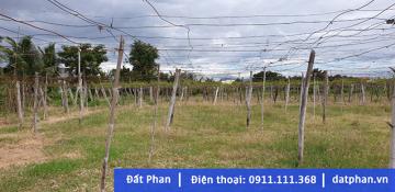 1.9 sào đất nông nghiệp gần Sông Lu, thôn An Thạnh 2