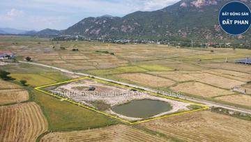 Bán 0,5ha đất mặt tiền Kênh phù hợp làm trang trại