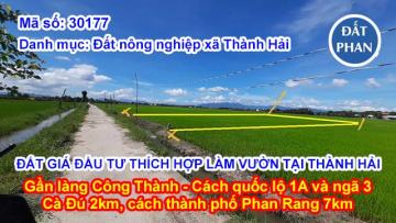 ĐẤT GIÁ ĐẦU TƯ THÍCH HỢP LÀM VƯỜN ĐƯỜNG Ô TÔ TẠI THÀNH HẢI