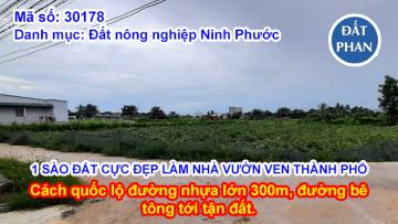 1 SÀO ĐẤT CỰC ĐẸP LÀM NHÀ VƯỜN VEN THÀNH PHỐ