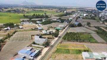 509M2 ĐẤT CÂY LÂU NĂM CHO CHUYỂN THỔ CƯ TẠI LONG BÌNH