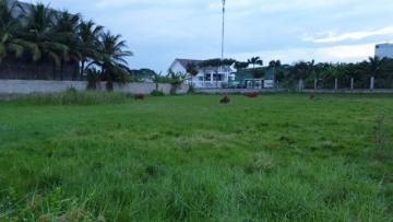 1500m2 đất ruộng mặt tiền đường 7m