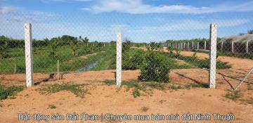 2600m2 đất làm vườn vuông vức đẹp cạnh mương nước tại Bình Quý