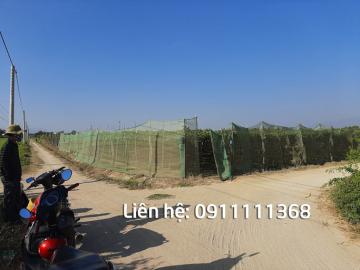 2742m2 đất vườn nho 2 mặt tiền