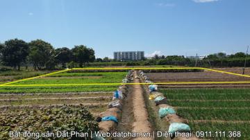 Bán 300m2 đất nông nghiệp sau Chợ nông sản