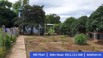 768m2 đất nông nghiệp mặt tiền sông Dinh