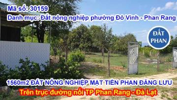 LÔ ĐẤT NÔNG NGHIỆP 1560m2 - MẶT TIỀN PHAN ĐĂNG LƯU GIÁ CỰC TỐT